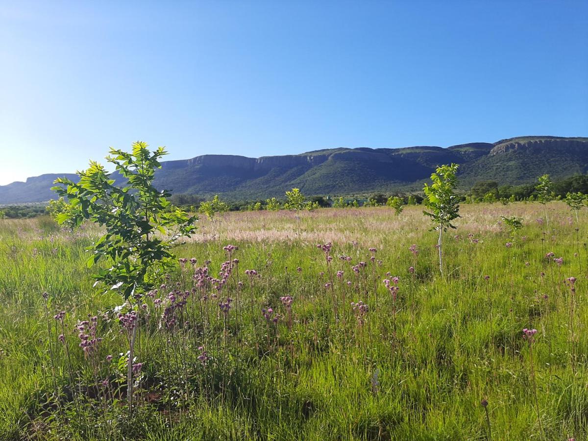 Jacksonstuin Remhoogte Mountain Lodge מראה חיצוני תמונה